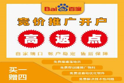 案例剖析：百度竞价排名助力企业突破困境